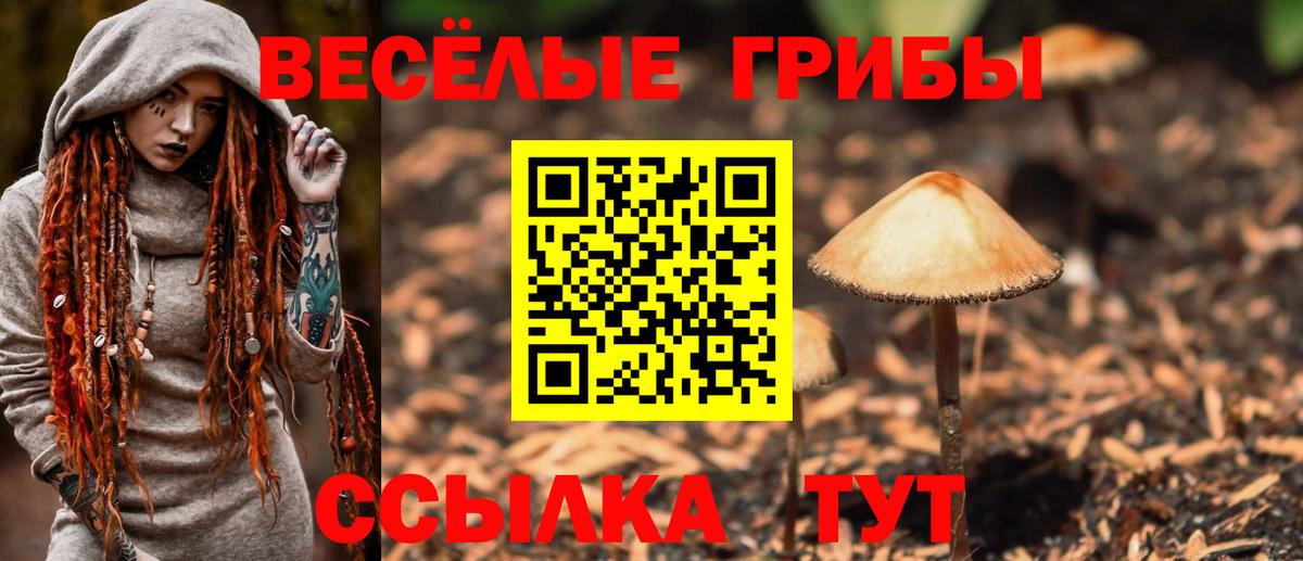 Псилоцибиновые грибы прущие грибы Лесосибирск